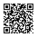 QRcode:41